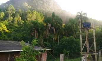Imagem 4: Chácara / Sítio com 3 Dormitorio(s) localizado(a) no bairro Moquem em Taquara / RIO GRAND
