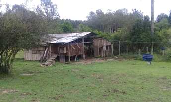 Imagem 7: Chácara / Sítio com 3 Dormitorio(s) localizado(a) no bairro Moquem em Taquara / RIO GRAND