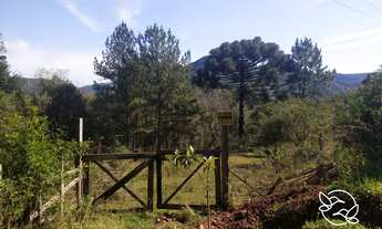 Imagem: Área de Terra com 4 Dormitorio(s) localizado(a)