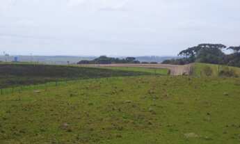 Imagem: Linda fazenda em São Francisco de Paula!