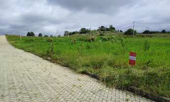Imagem 5: Terreno com 2 Dormitorio(s) localizado(a) no bairro Ideal em Taquara / RIO GRANDE DO SUL