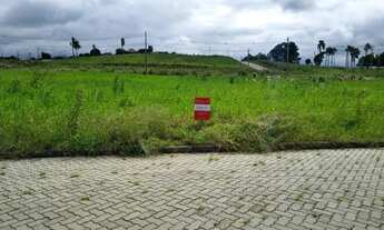 Imagem 6: Terreno com 2 Dormitorio(s) localizado(a) no bairro Ideal em Taquara / RIO GRANDE DO SUL