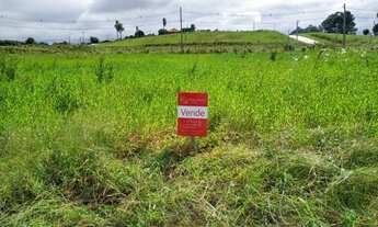 Imagem 4: Terreno com 2 Dormitorio(s) localizado(a) no bairro Ideal em Taquara / RIO GRANDE DO SUL