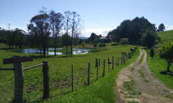 Imagem 3: Sítio próximo da RS-239