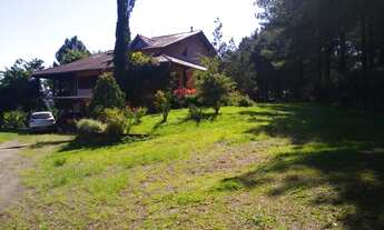 Imagem 5: Sítio próximo da RS-239