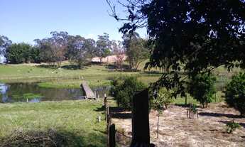 Imagem 6: Sítio próximo da RS-239