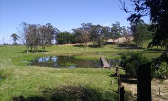 Imagem 2: Sítio próximo da RS-239