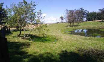 Imagem 7: Sítio próximo da RS-239