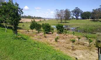 Imagem 4: Sítio próximo da RS-239