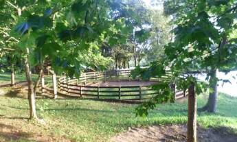 Imagem 5: Sítio na localidade de Rio da Ilha/Taquara