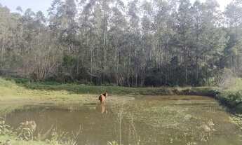 Imagem 2: OPORTUNIDADE DE OCASIÃO