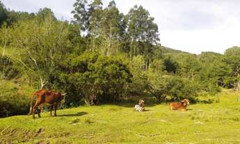 Imagem 5: OPORTUNIDADE DE OCASIÃO