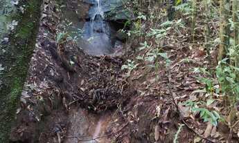 Imagem 3: OPORTUNIDADE DE OCASIÃO