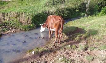 Imagem 4: OPORTUNIDADE DE OCASIÃO