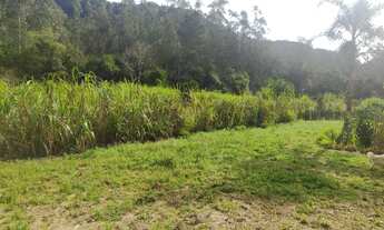 Imagem 7: OPORTUNIDADE DE OCASIÃO