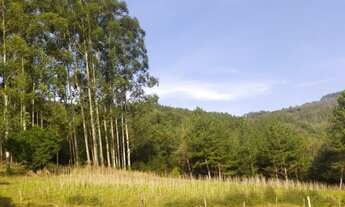Imagem 6: OPORTUNIDADE DE OCASIÃO