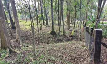 Imagem 3: Terreno com 2 Dormitorio(s) localizado(a) no bairro KM 4 em Taquara / RIO GRANDE DO SUL R