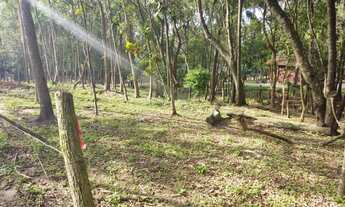 Imagem 4: Terreno com 2 Dormitorio(s) localizado(a) no bairro KM 4 em Taquara / RIO GRANDE DO SUL R