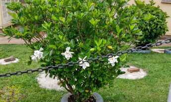 Imagem 7: Apartamento com 2 Dormitorio(s) localizado(a) no bairro Duque de Caxias em São Leopoldo