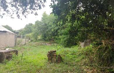 Imagem 8: Terreno com 3 Dormitorio(s) localizado(a) no bairro Sagrada Familia em Taquara / RIO GRAN