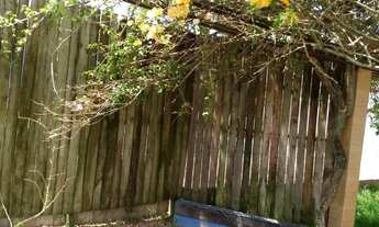 Imagem 3: Casa com 2 Dormitorio(s) localizado(a) no bairro Cruzeiro do Sul em Taquara / RIO GRANDE