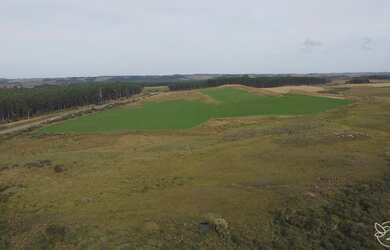 Imagem 6: Fazenda, 220M² de Área Total