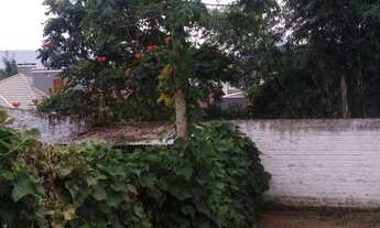 Imagem: Casa com 3 Dormitorio(s) localizado(a) no