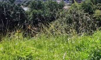 Imagem 5: Terreno, 20M² de Área Total