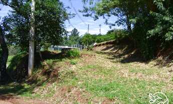 Imagem: Terreno com 3 Dormitorio(s) localizado(a)