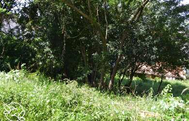 Imagem 2: Terreno com 3 Dormitorio(s) localizado(a) no bairro Petropolis em Taquara / RIO GRANDE DO