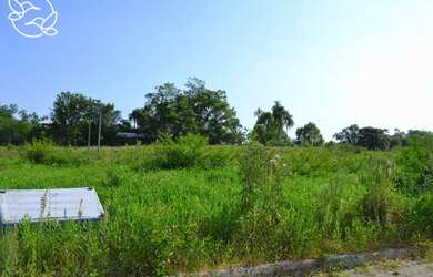 Imagem 3: Terrenos a partir de R$80.000,00, Loteamento Alvorada