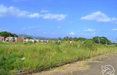 Imagem 5: Terrenos a partir de R$80.000,00, Loteamento Alvorada