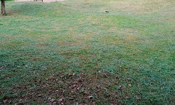 Imagem 3: Terreno com 2 Dormitorio(s) localizado(a) no bairro Boa Vista em Parobé / RIO GRANDE DO S