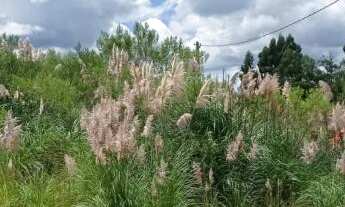 Imagem 2: Terreno, 400M² de Área Total