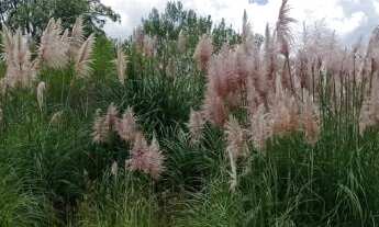 Imagem 4: Terreno, 400M² de Área Total