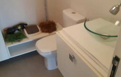 Imagem 4: ótima Sala Comercial , no cetro de Canoas