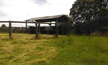Imagem 7: Fazenda com 396 hectares em Nossa Senhora do Livramento/MT