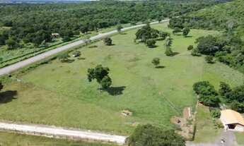 Imagem: Fazenda com 200 hectares em Cáceres/MT