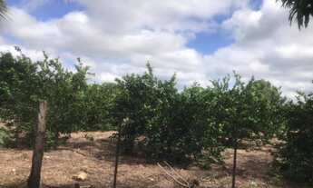 Imagem 4: Fazenda com 96 hectares em Nossa Senhora do Livramento/MT