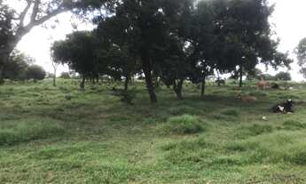 Imagem 7: Fazenda com 96 hectares em Nossa Senhora do Livramento/MT