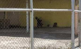 Imagem 5: Terreno comercial na Avenida Palmiro Paes de Barros