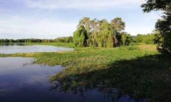 Imagem 6: Fazenda com 409 hectares em Poconé/MT