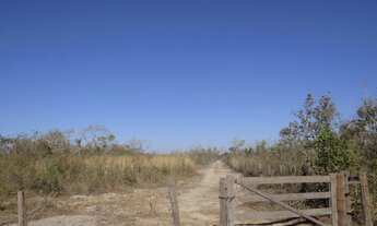 Imagem 7: Fazenda com 100 hectares em Cuiabá/MT