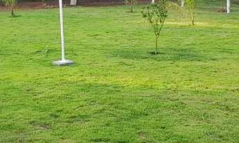 Imagem 5: Associação Recanto Dos Pequizeiros