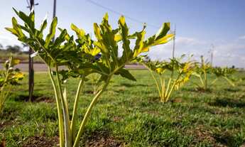 Imagem 3: Condomínio Verana Várzea Grande