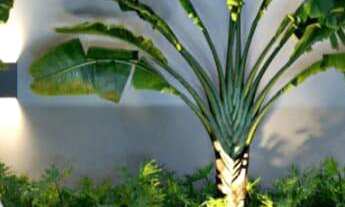 Imagem 5: Condomínio Belvedere