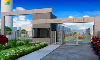 Imagem: Chapada dos Pinheiros