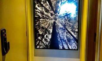 Imagem 7: Edifício Arthur