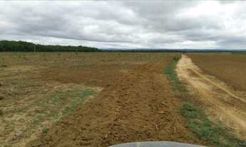 Imagem 4: Fazenda com 860 hectares em Nobres/MT