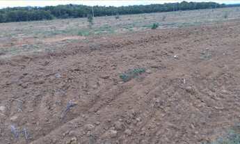 Imagem 6: Fazenda com 860 hectares em Nobres/MT